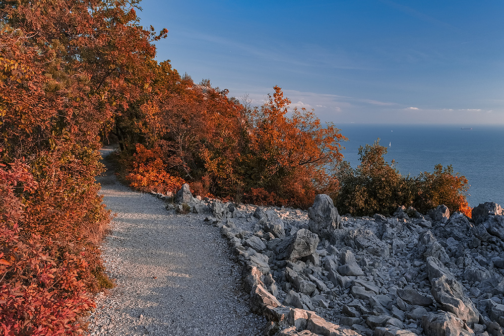 Sentiero Rilke i colori del sommaco Image